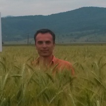 Triticale_Covasna