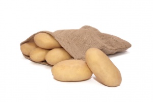 Ultra – Cartofi de sămânță – Solana România